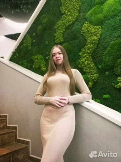 Репетитор по математике, физике, информатике