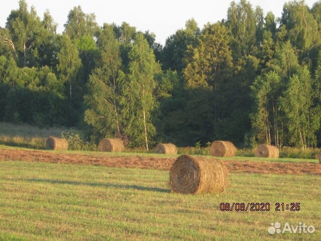 Сено рулоны 500 кг