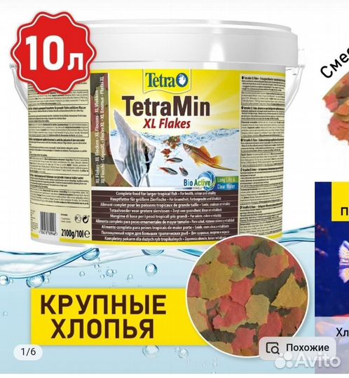 Два аквариума