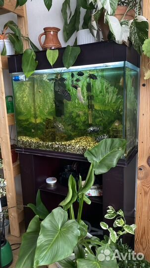 Аквариум полный комплект