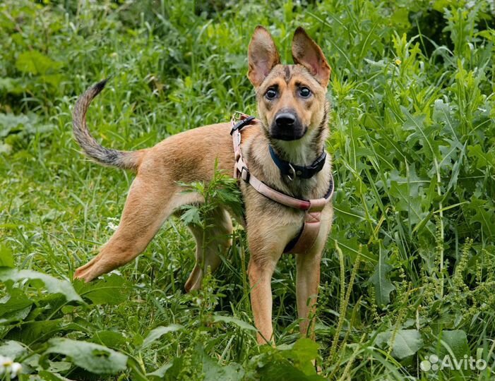 Девочка с тяжёлой судьбой из приюта