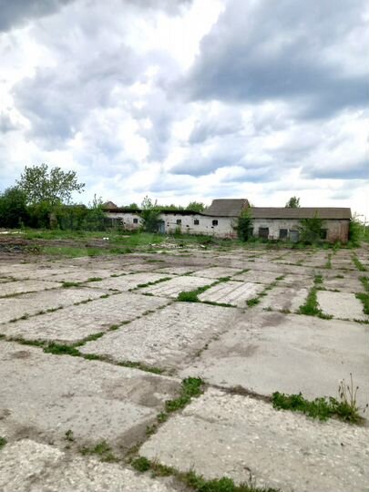 Спиртовой завод Пертовский