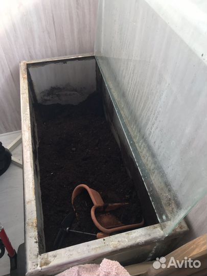 Аквариум террариум