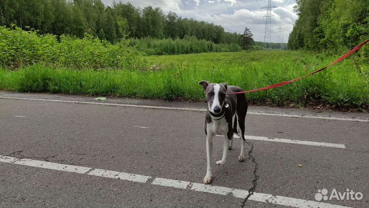 Предложение услуг