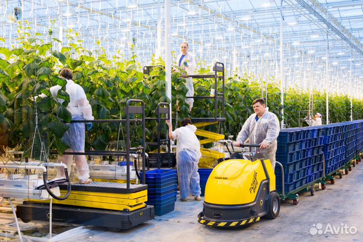 Овощевод в Челябинской области вахта