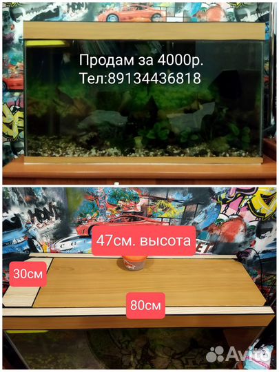 Аквариум