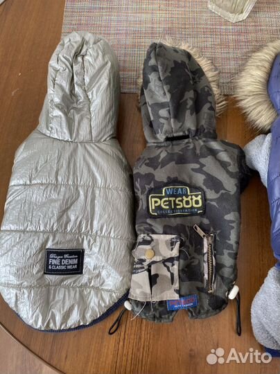 Одежда для маленьких собак