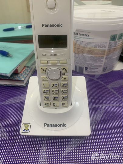 Panasonic