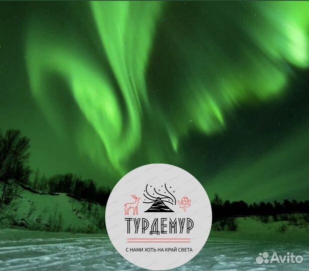 Туры в Териберку