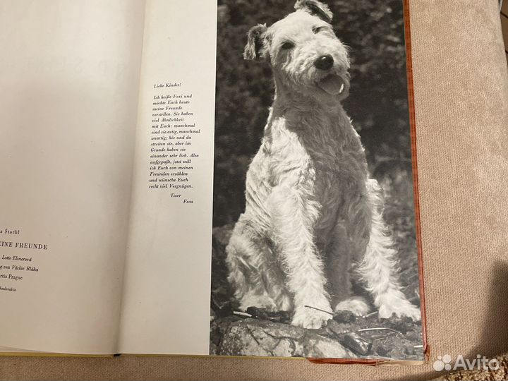 Редкие Книги о животных