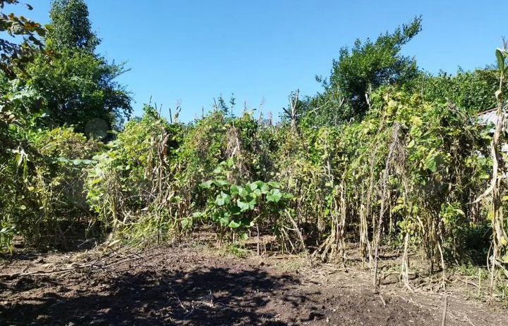 Участок 12 сот. (ИЖС)