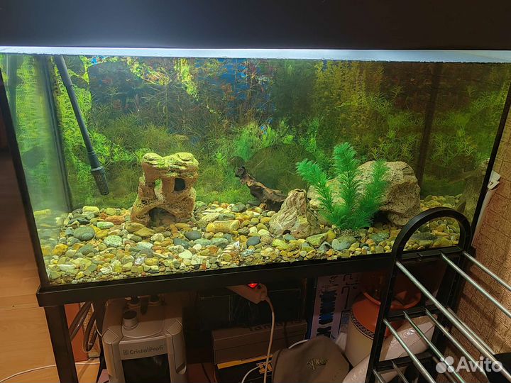 Аквариум