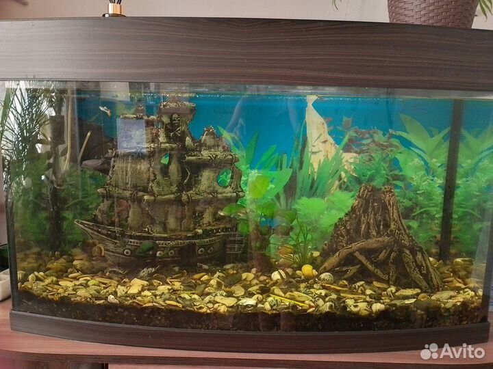 Продам аквариум