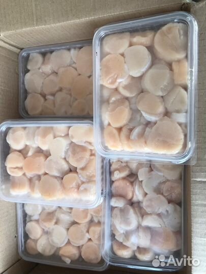 Морепродукты