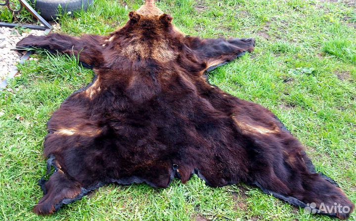 Шкура медведя имитация