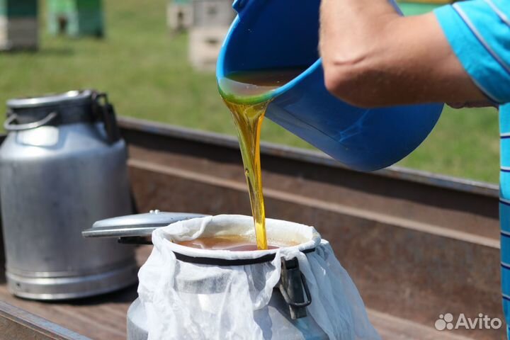 Мёд с Тамбова 2023 года