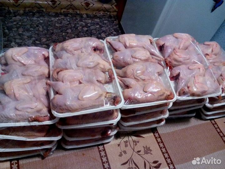 Перепелки, мясо перепёлок