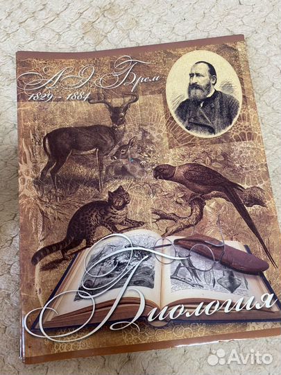 Тетради предметные 48 листов