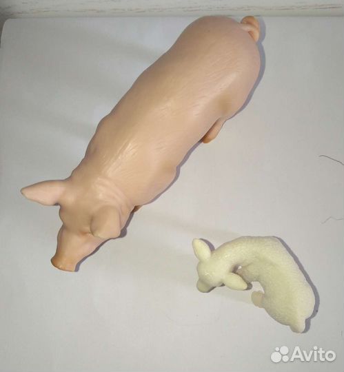 Свинья,ягненок