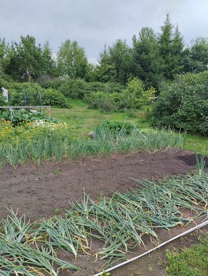 Дача 62 м² на участке 48 сот.