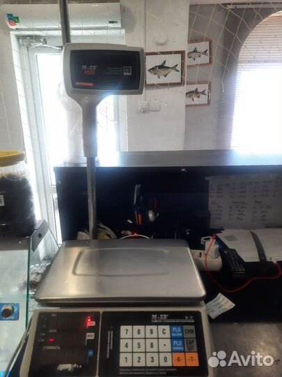 Охладитель