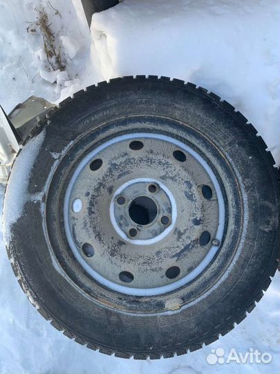 Cordiant Nordway 175/65 R14