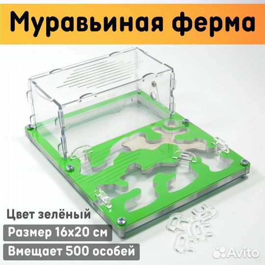 Муравьиная ферма 
