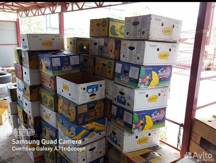 Банановые коробки бу