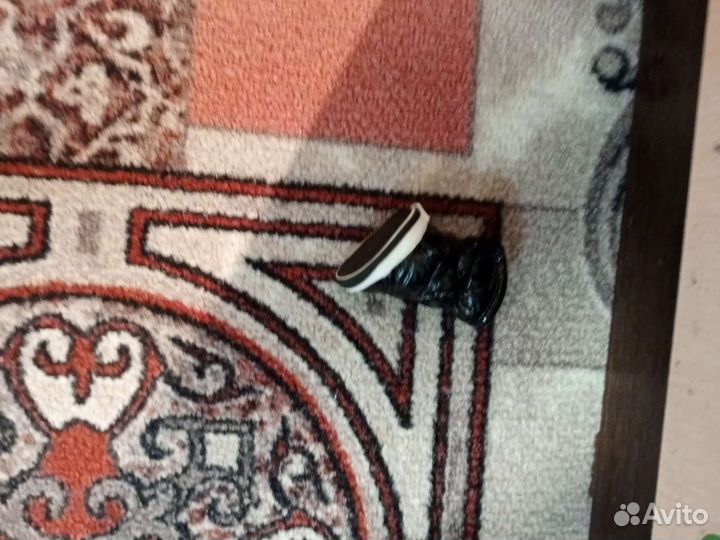 Ботинок собачий