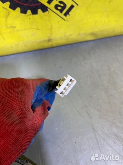 Проводка двери задняя правая Ford Focus 3 седан