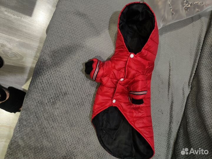 Куртка для собаки