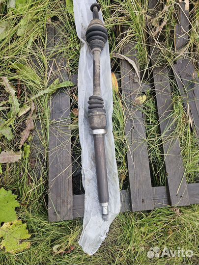 Шурус ford фокус 1.16 двигатель