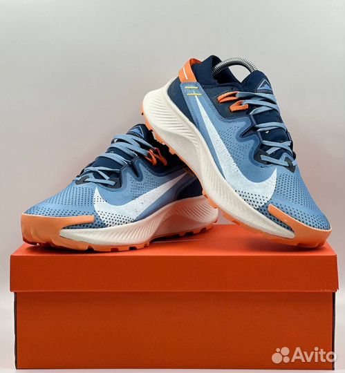 Кроссовки Nike Pegasus Trail 2 мужские g-7953