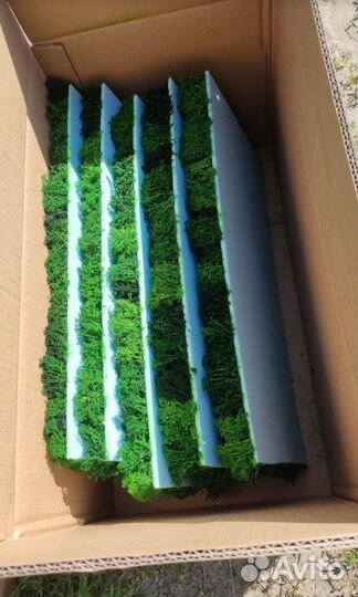 Экопанели из мха, 25х50 см от производителя