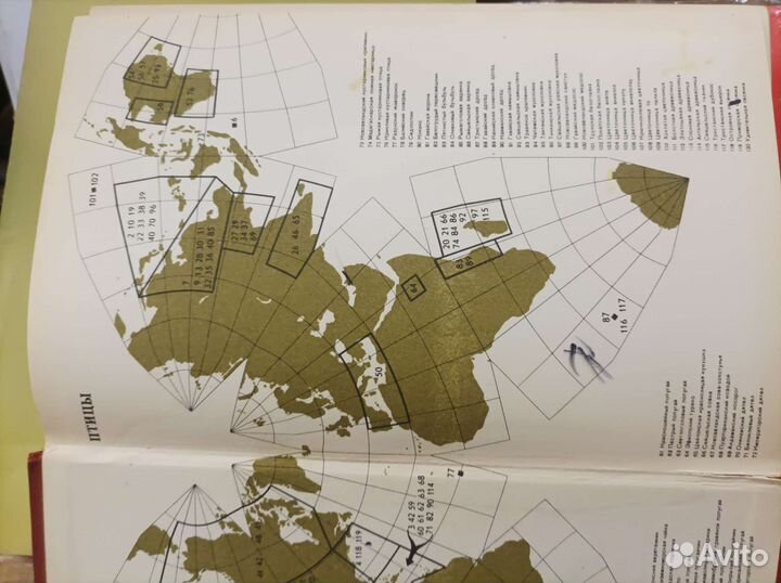 Красная книга. Природа