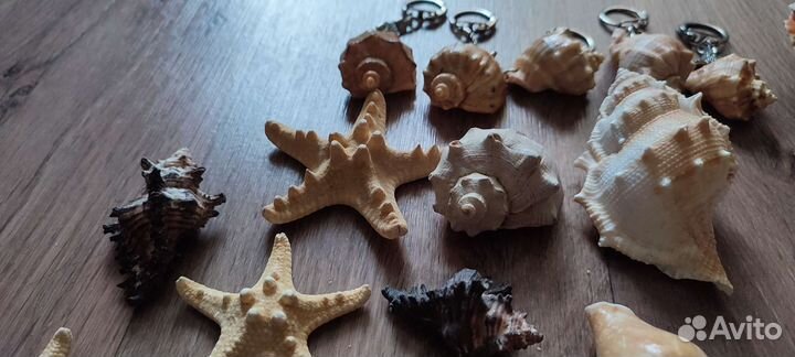 Набор ракушек и брелков
