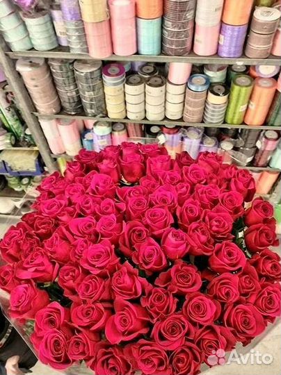 Высокие розы