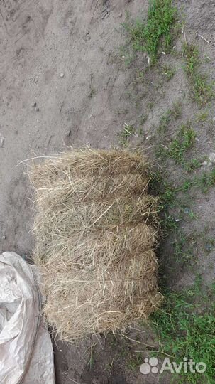 Сено луговое в тюках