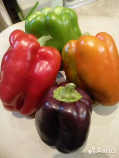 Перец, помидоры, кабачки, патиссоны, свекла