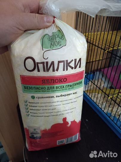 Хомяк