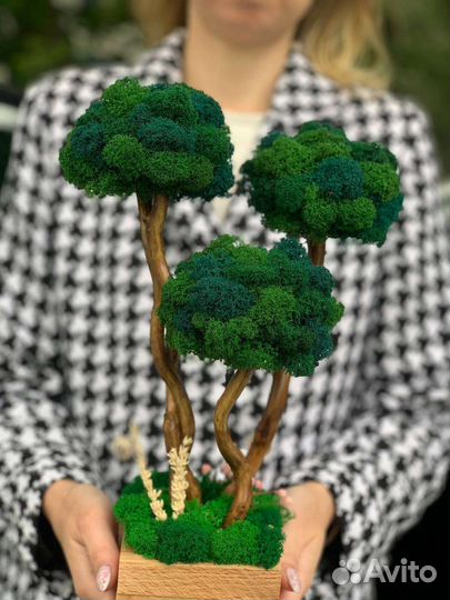 Декоративные деревья