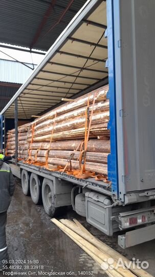 Доска необрезная кедр 25,32 мм