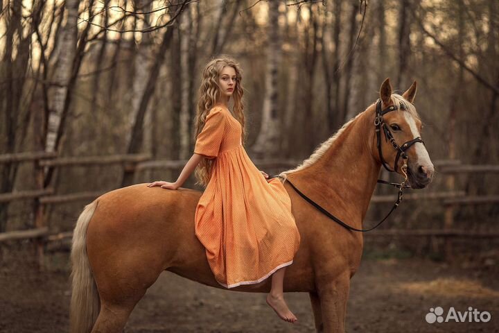 Фотопроект с лошадьми 