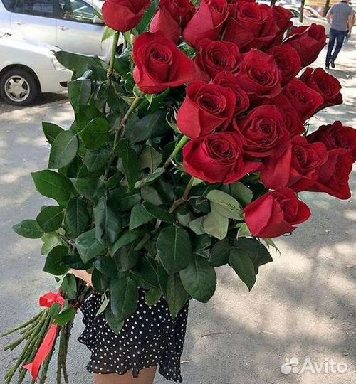 51 Роза, Букеты Цветы Розы 25 101 501 1001