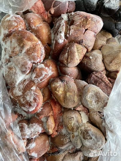 Почки для животных