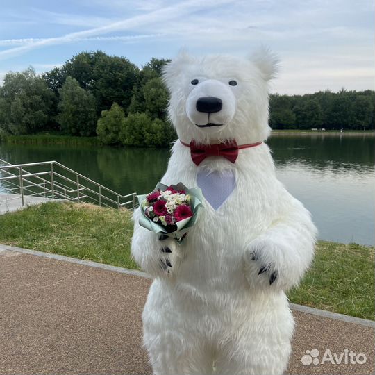 Белый мишка поздравление Умка