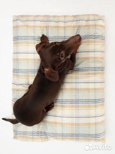 Лежак для собак и кошек