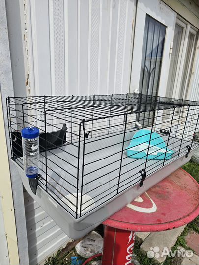 Клетка для кроликов бу 100х50
