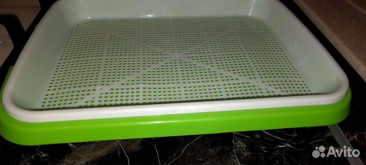 Лоток для микрозелени, контейнер для рассады