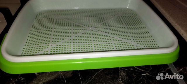 Лоток для микрозелени, контейнер для рассады